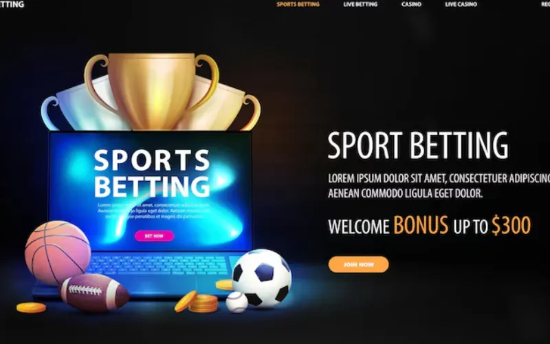 volleyball ground at w88 india featured image